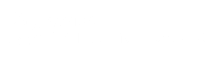 Swiss Digital Network